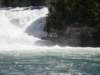 dscn2478_small.jpg