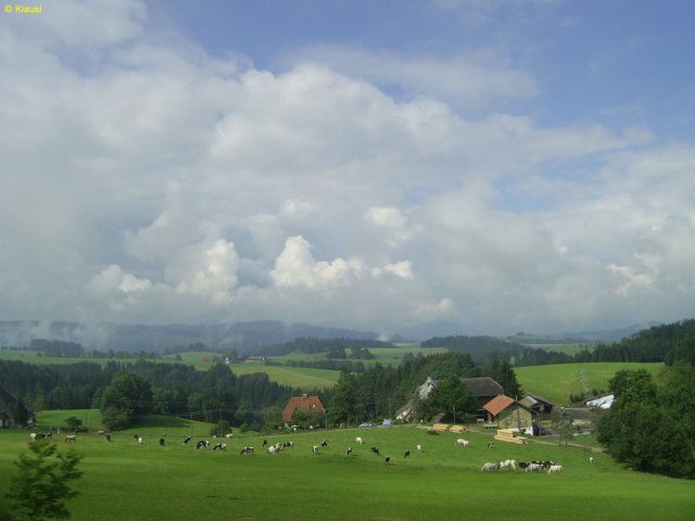 sa400182.jpg
