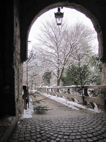 img_8907.jpg