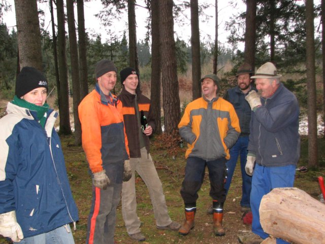 maibaumschneiden2008_5794.jpg