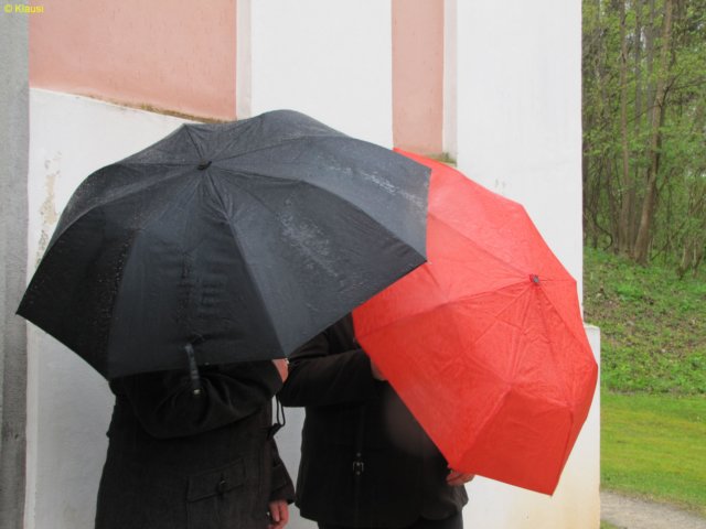 img_8389.jpg