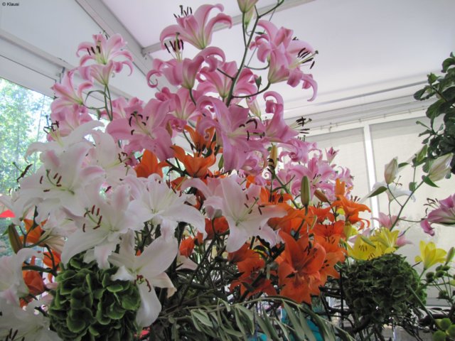 img_5164.jpg