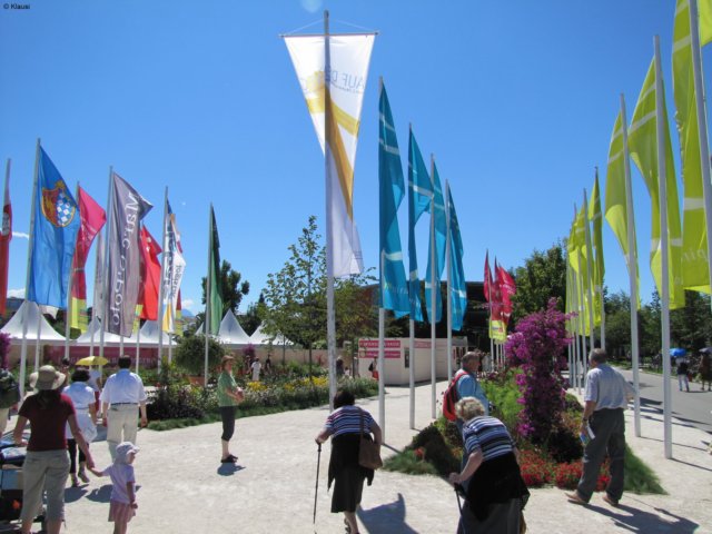 img_5264.jpg