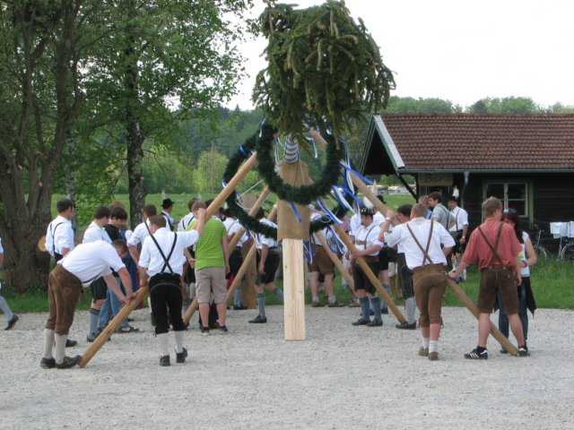 maibaufstellen_8848.jpg