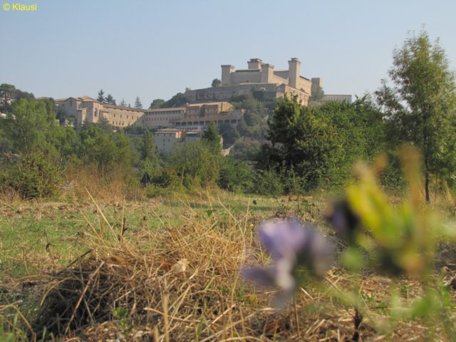 img_1121.jpg