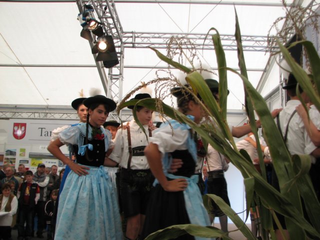 salza2008_4428.jpg