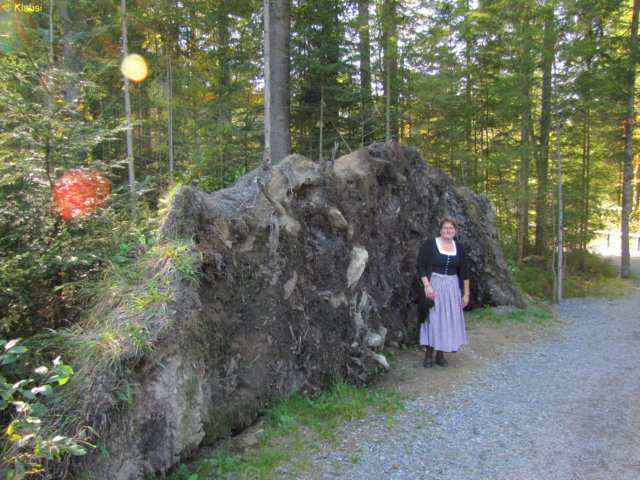 img_7284.jpg