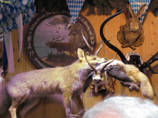 img_7494.jpg