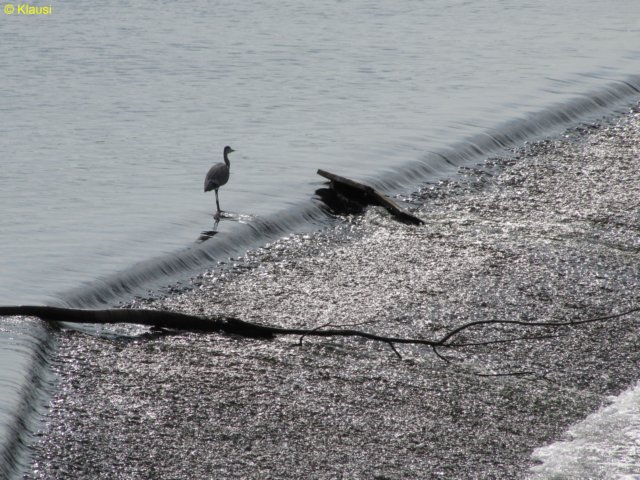 img_2517.jpg