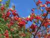 img_2781_small.jpg