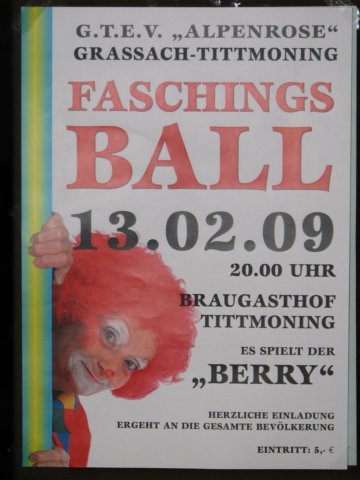 vereinsfasching2009_6205.jpg